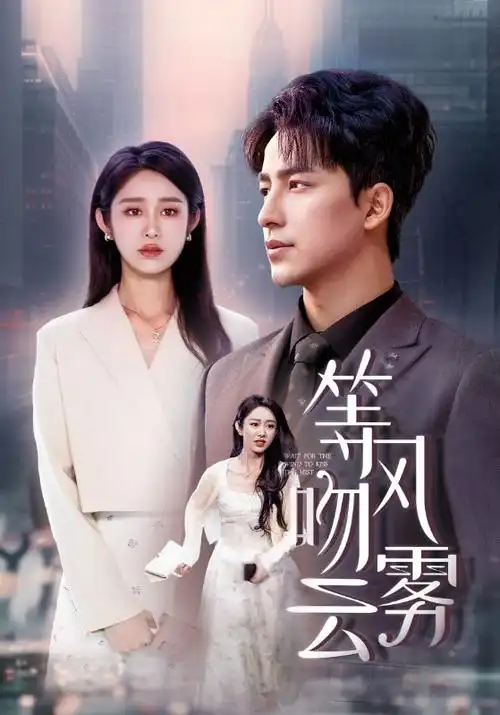 长夜回声剧集在线观看